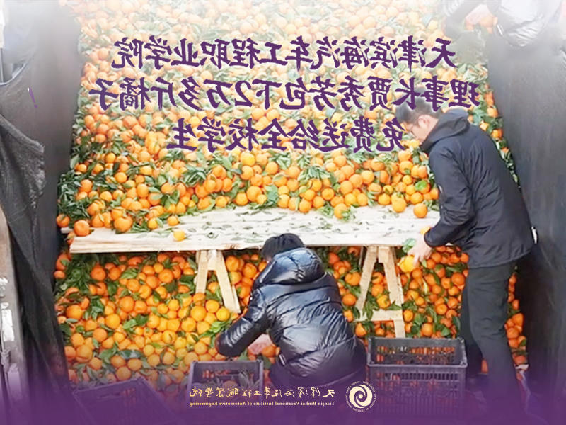 bbin视讯真人