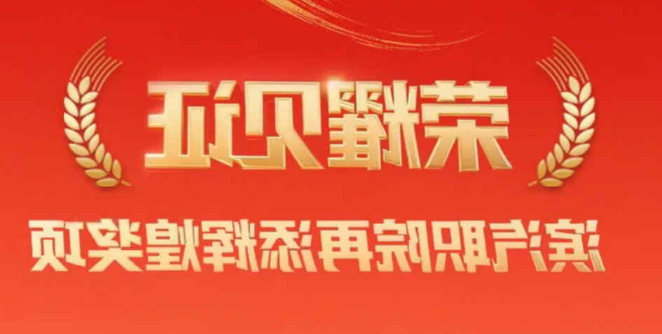 bbin视讯真人