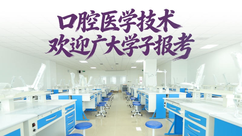 bbin视讯真人