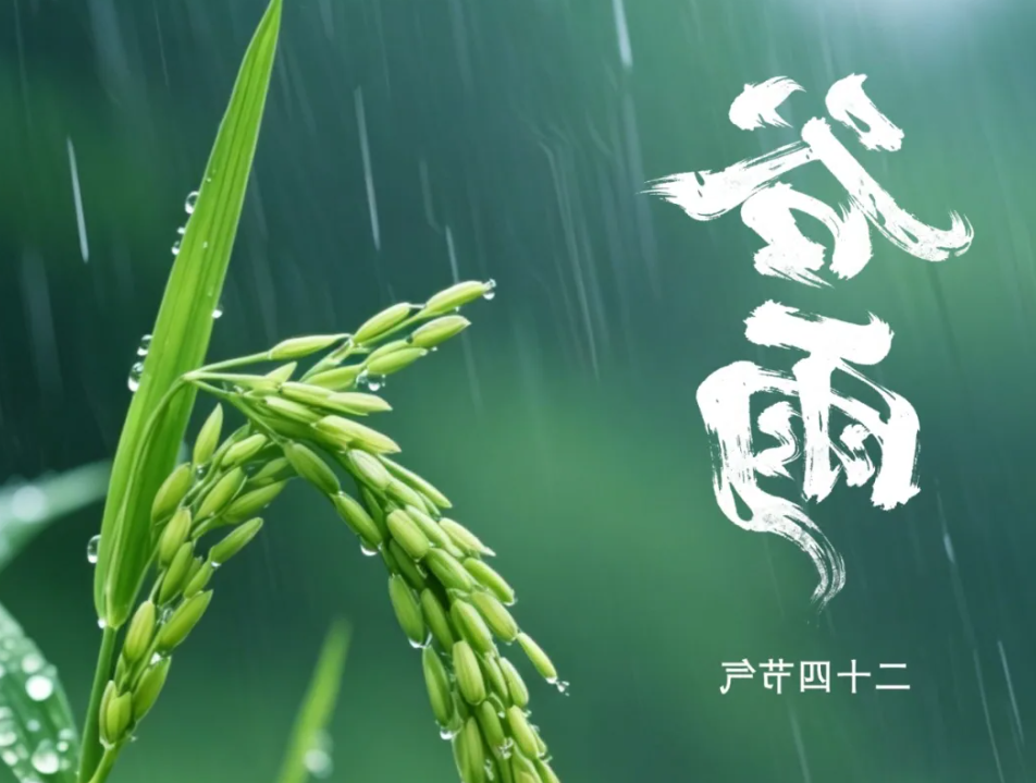 bbin视讯真人