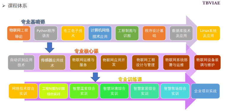 bbin视讯真人
