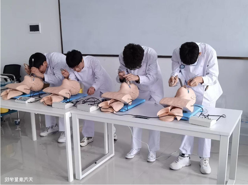 bbin视讯真人