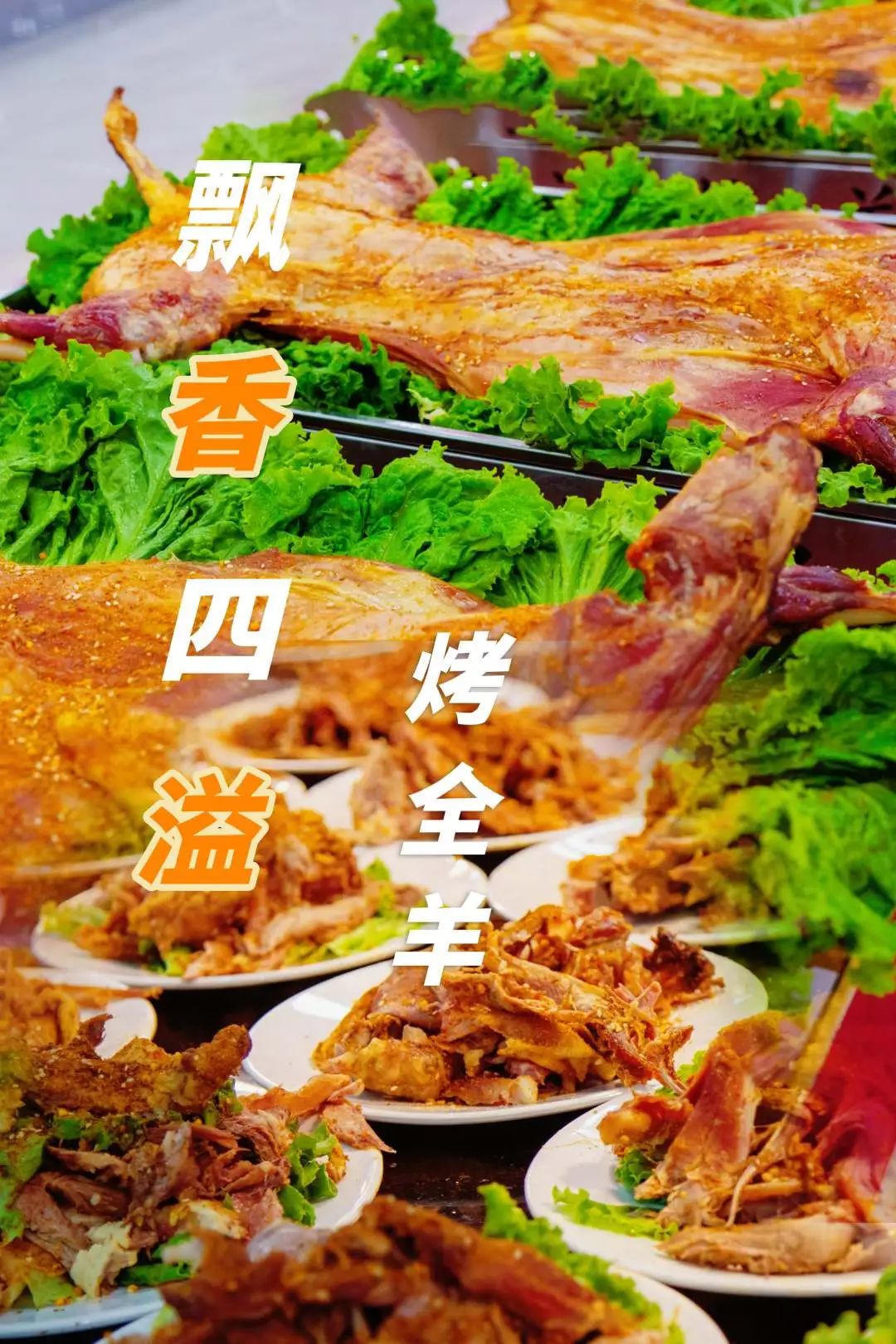 bbin视讯真人