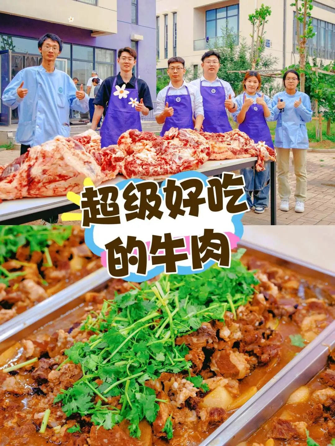 bbin视讯真人