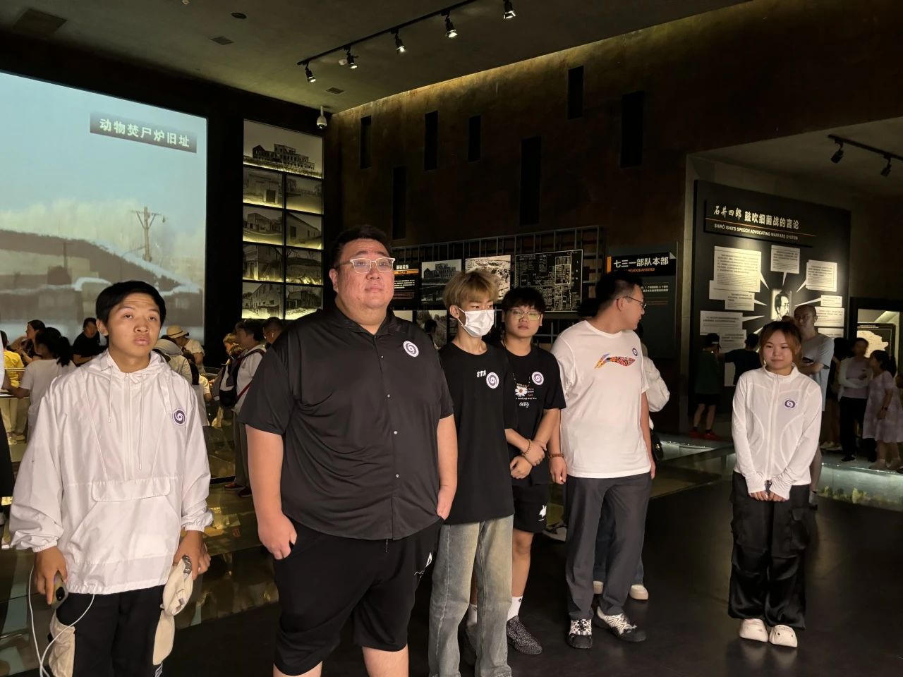 bbin视讯真人