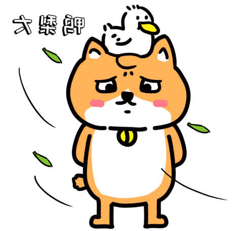 bbin视讯真人