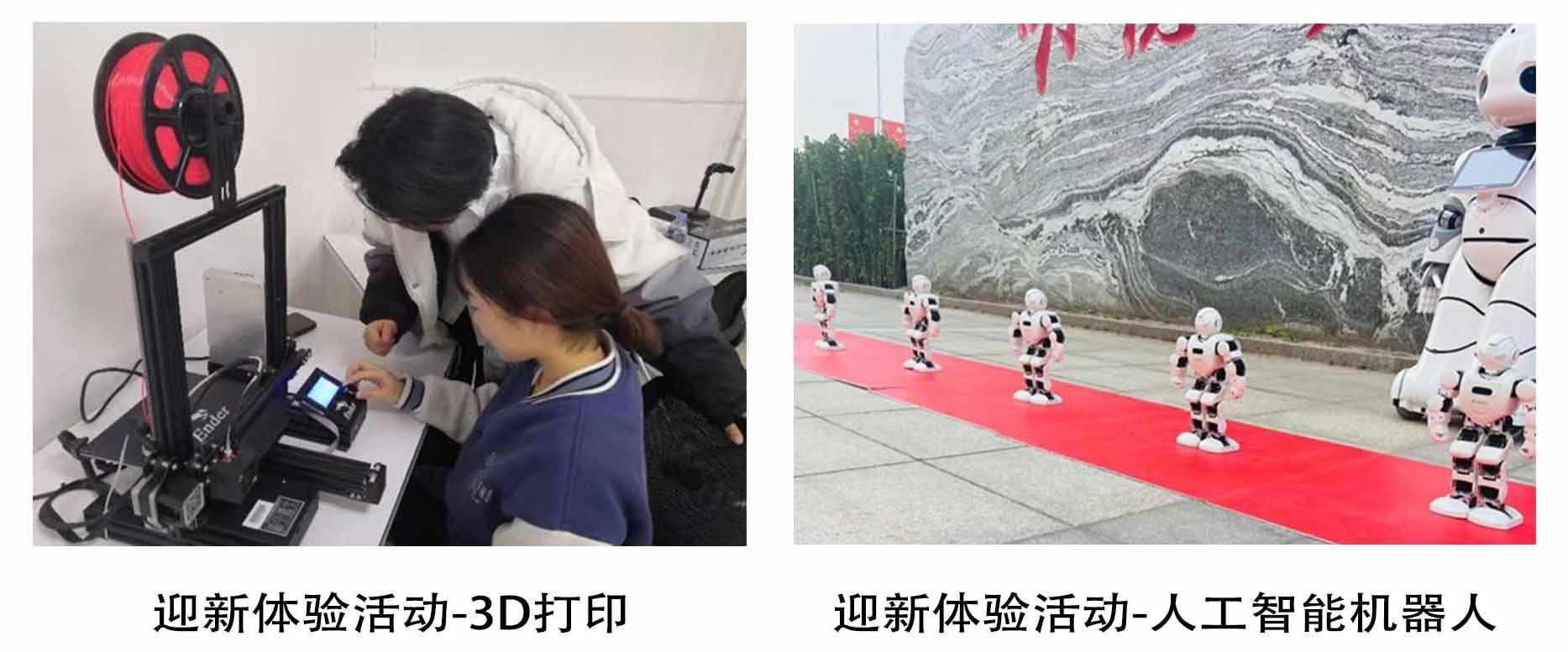 bbin视讯真人
